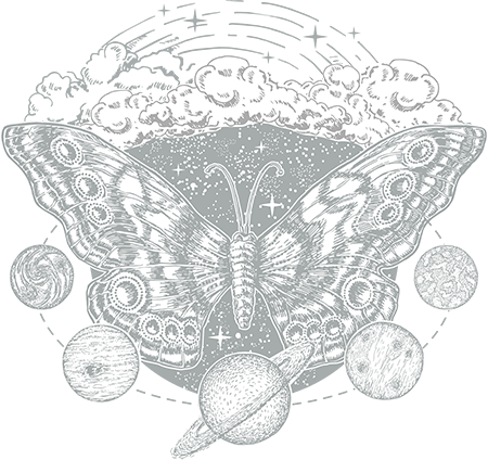 butterfly universe