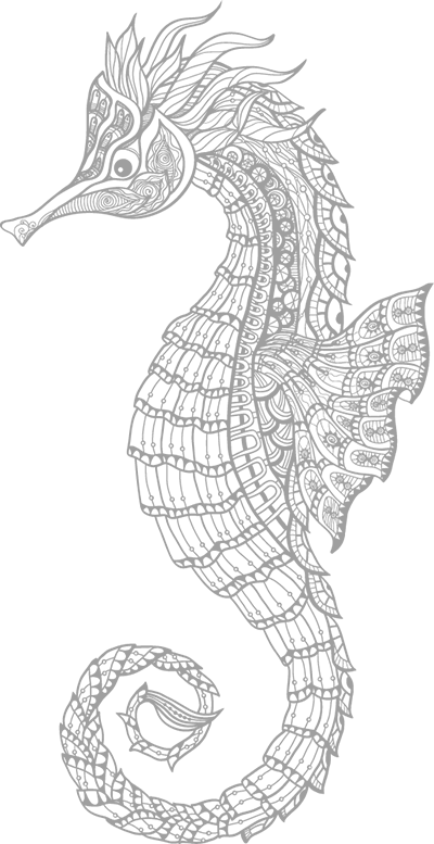 seahorse